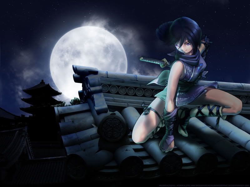 Think, that Ninja girl mfc Theme, will Ninja girl mfc consider, that